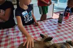IMG-20230823-WA0051