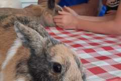 IMG-20230823-WA0060
