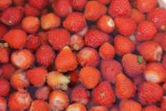 IMG-20230823-WA0063
