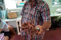 IMG-20230823-WA0066