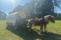 IMG-20230823-WA0169
