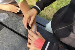IMG-20220830-WA0149