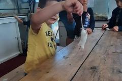 IMG-20220831-WA0156