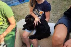 IMG-20220831-WA0164